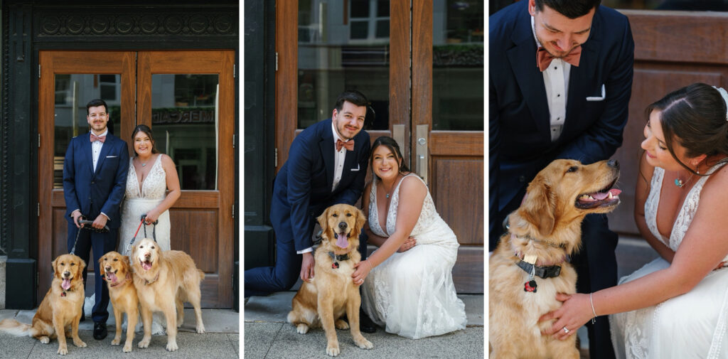 Bride and groom wedding photos with three golden retrievers