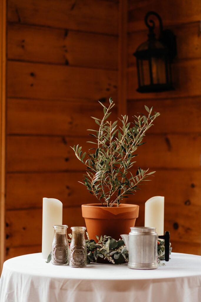 Micro wedding vs elopement: potted olive tree wedding details