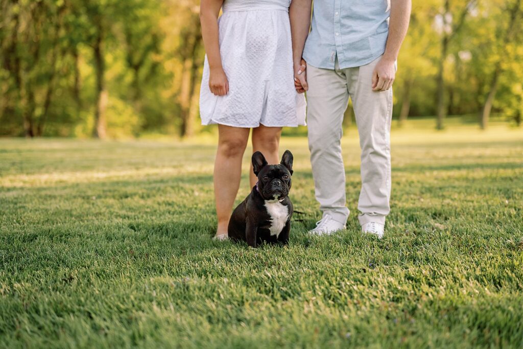 Black Frenchie puppy sitting in front of couple during their engagement photo session