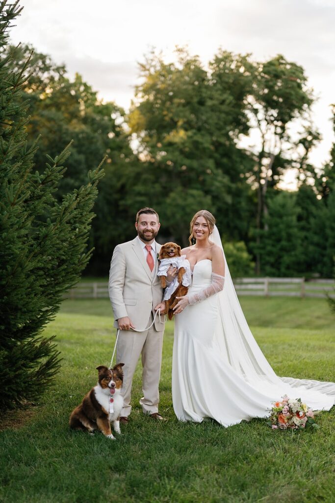 unique wedding ideas - bride and groom include their dogs dressed in wedding attire at their wedding