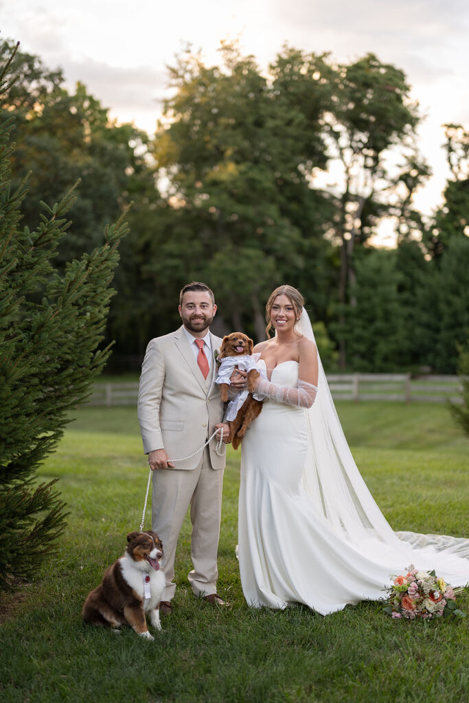 Bride and their dogs posing for portraits at Stone Creek Lodge