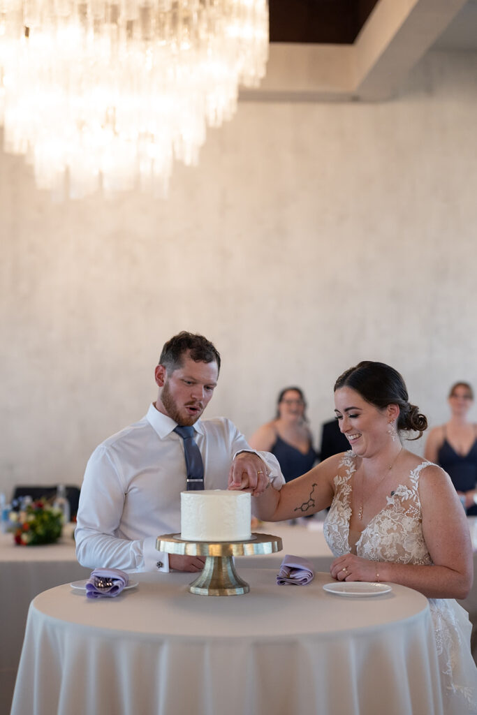 Bride and groom cutting their wedding cake during their Sky on Nine wedding reception in Chicago