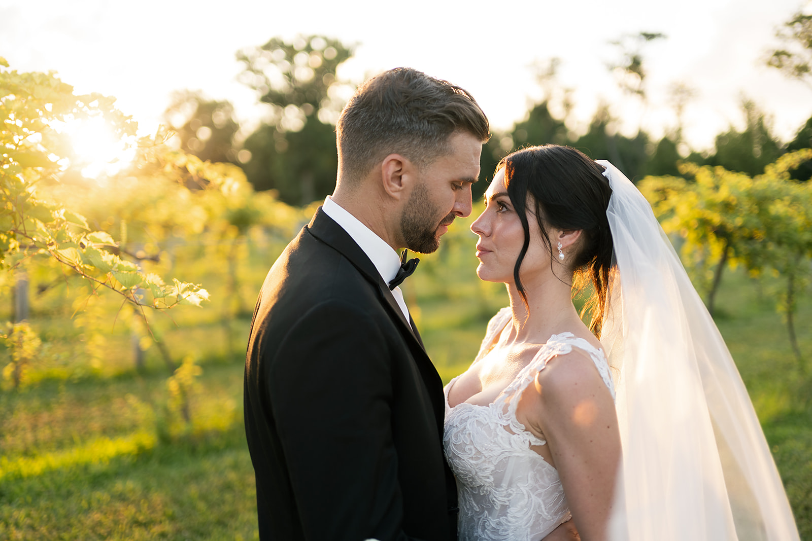 Bride and grooms golden hour wedding portraits at Daniel's Vineyard
