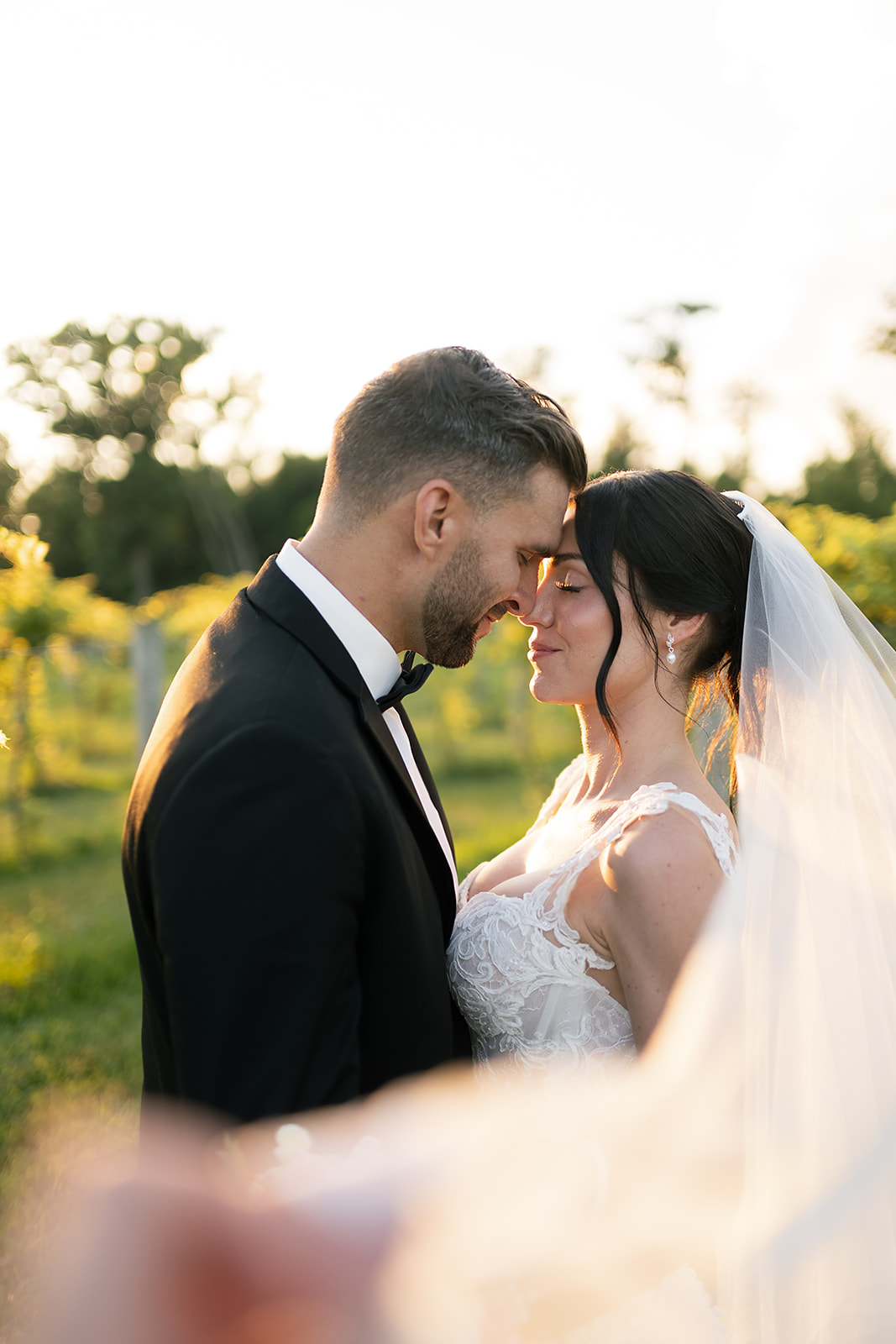 Golden hour bride and groom portraits from a Daniel's Vineyard wedding in Indiana