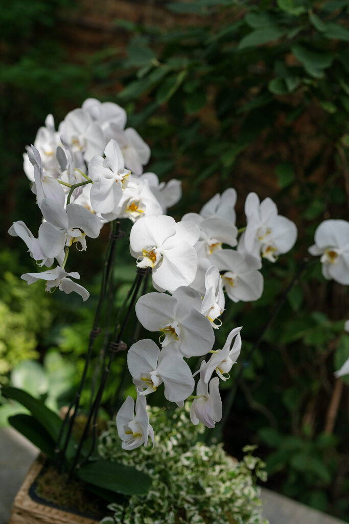 Close-up of white orchids decorating the ceremony space at Firehouse Chicago.